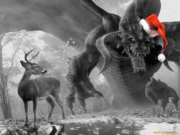 Новогодний дракон обои