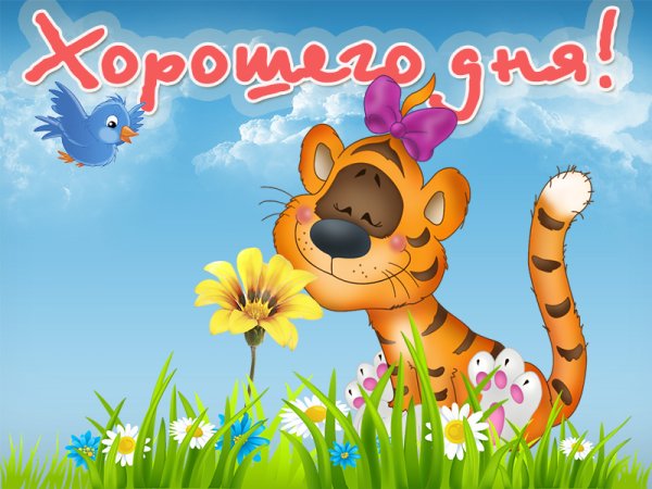 Хороший день