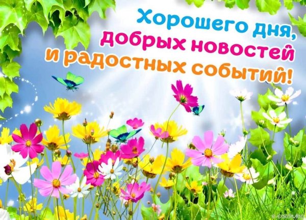 Хорошего дня и добрых событий