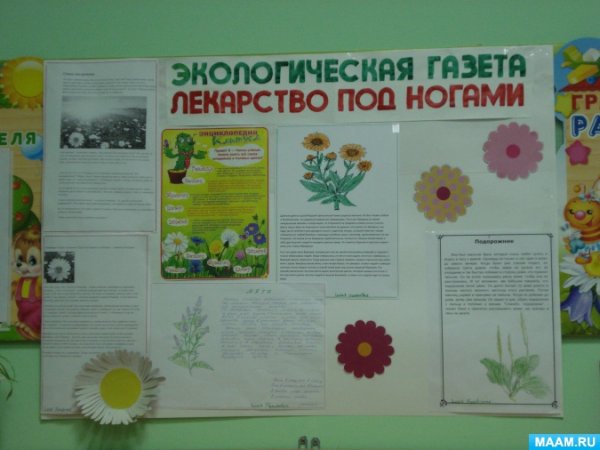 Плакат лекарственные растения для детей