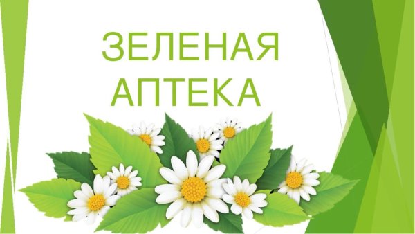 Лечебные растения в детском саду