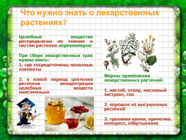 Зеленая аптека картотека