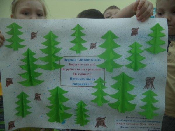 Листовки не рубите ели