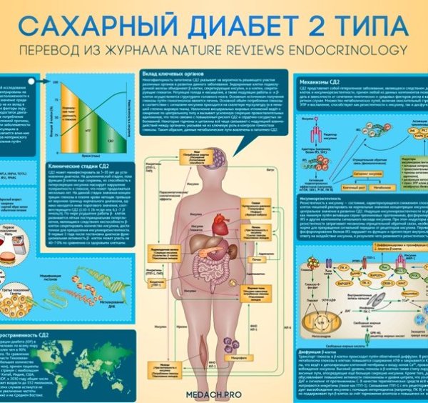 Плакат по сахарному диабету