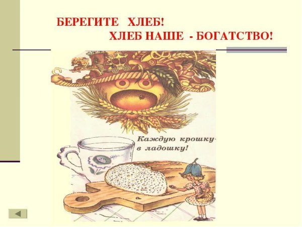 Бережное отношение к хлебу