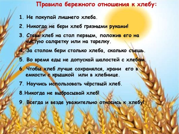 Бережное отношение к хлебу