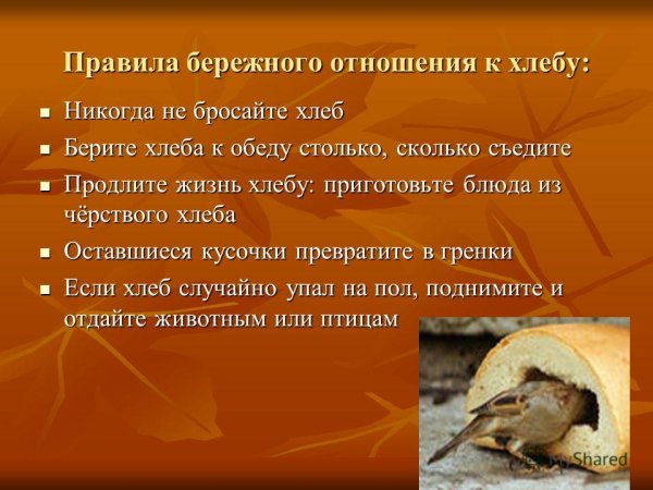 Плакат о бережном отношении к хлебу