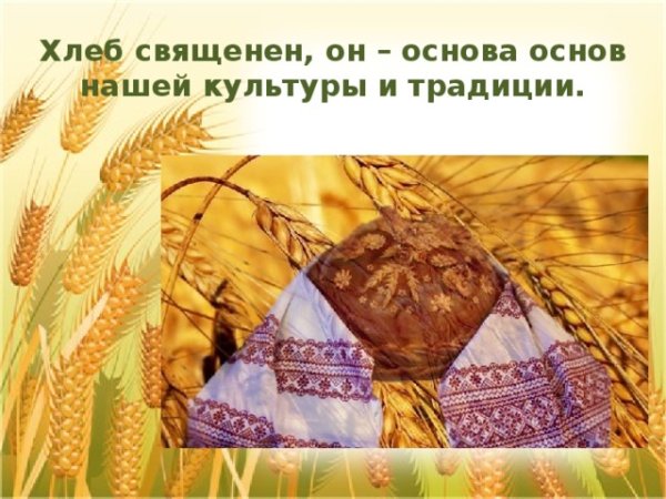 Бережное отношение к хлебу