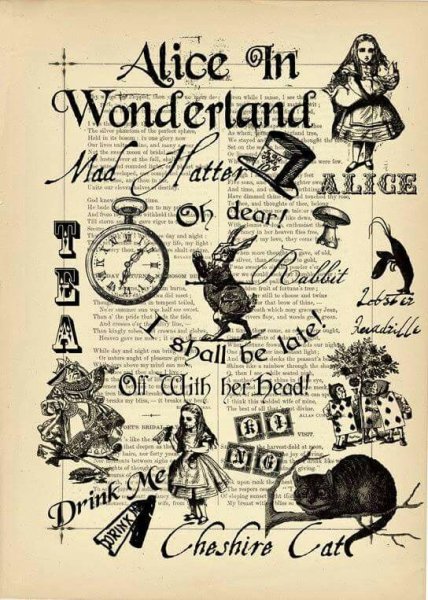 Алиса в стране чудес обложка книги черно белая