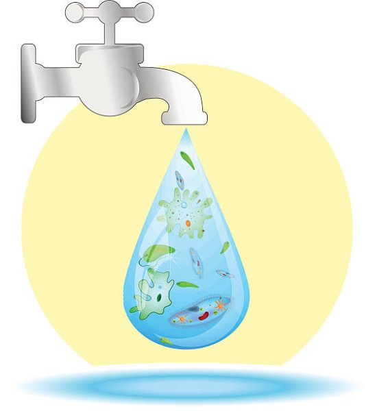 Микробы в воде для детей