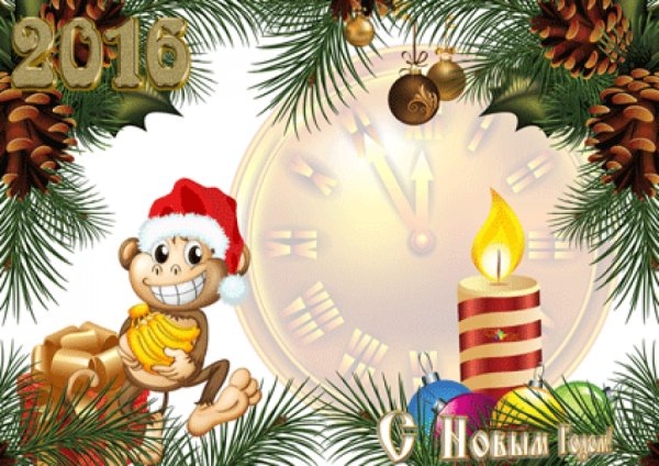 Год обезьяны новый год
