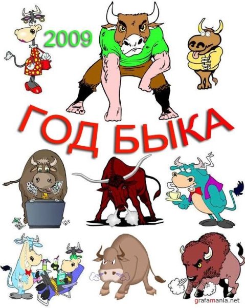 Год быка рисунок смешной