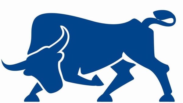 Символ года - бык