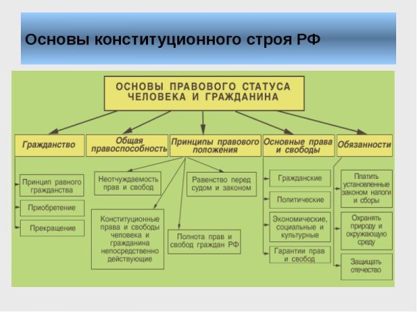 Основные принципы конституционного строя