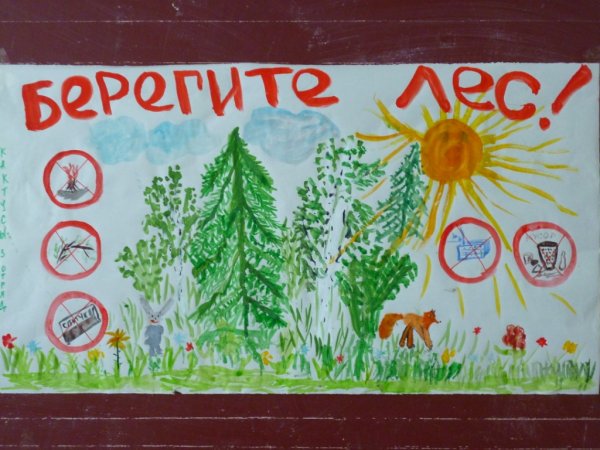 Рисунок на тему защита природы