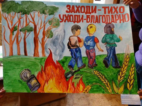 Плакат охрана леса