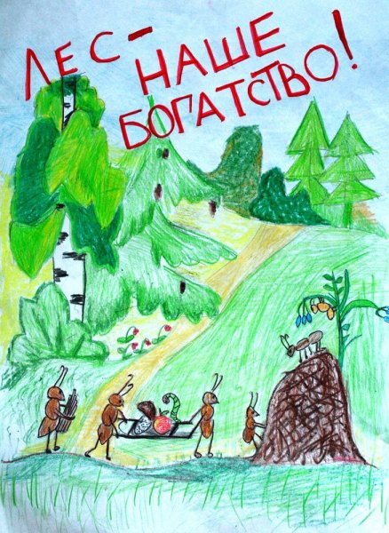 Рисунки на тему Заповедная природа