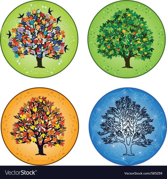 Деревья зимой для детей