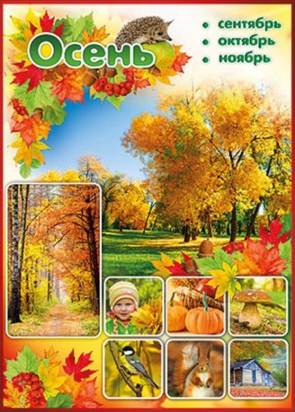 Наглядный материал для детского сада