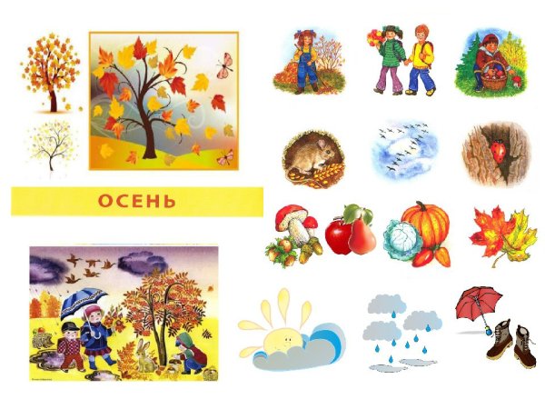 Времена года для дошкольников