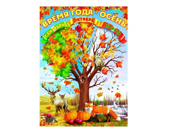 Признаки лето для дошкольников