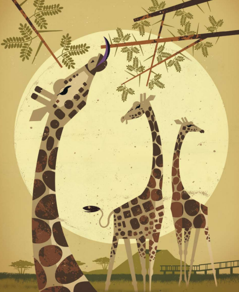 Африка фотоколлаж