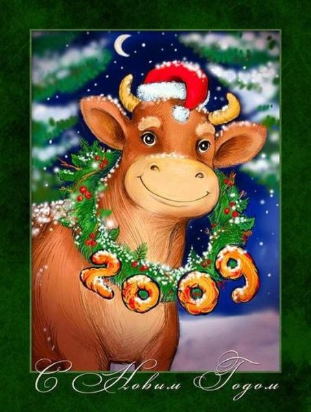 Новый год год быка