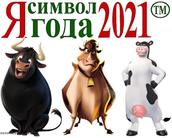 Приколы про новый год 2021