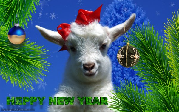 С новым годом коза