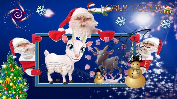 Год козы смешные картинки