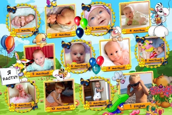 Постер по месяцам до года