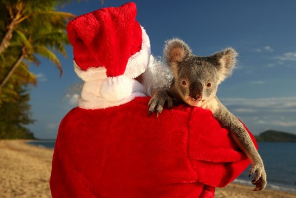 Новый год в Австралии