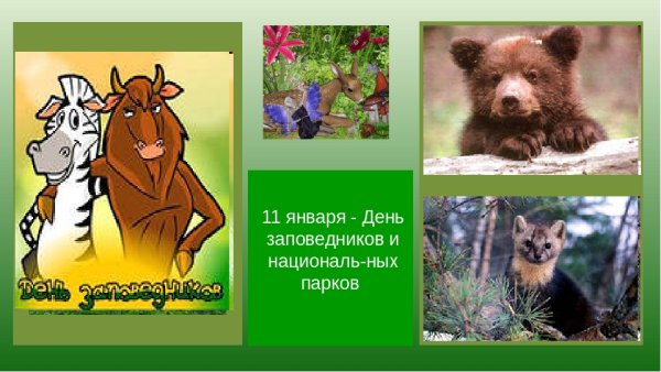 Всероссийский день заповедников и национальных парков