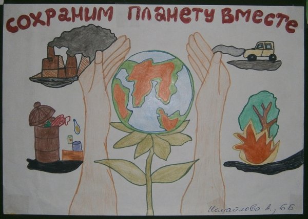 День заповедников и национальных парков рисунок