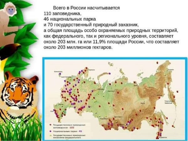 День заповедников и нац парков