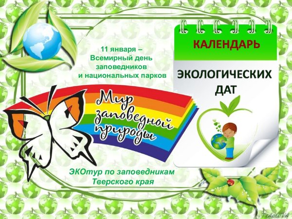 Мир заповедной природы рисунки