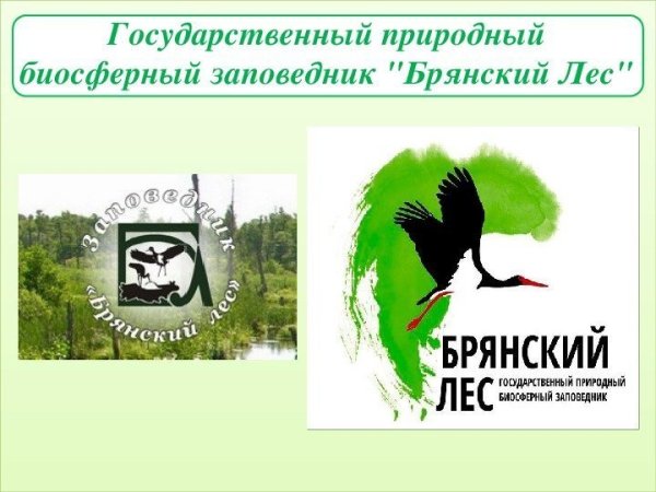 11 День заповедников и национальных парков