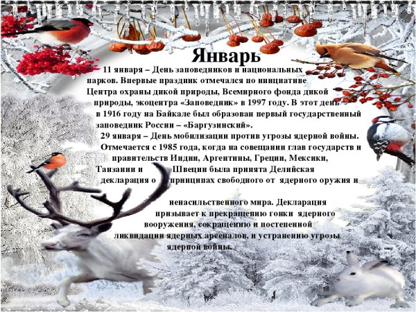 Всероссийский день заповедников и парков