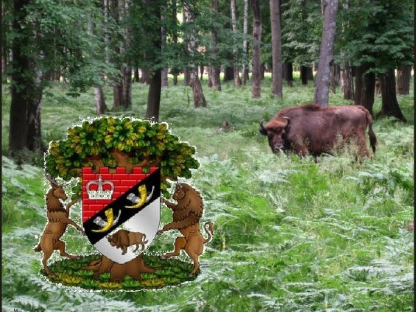 Всероссийский день заповедников