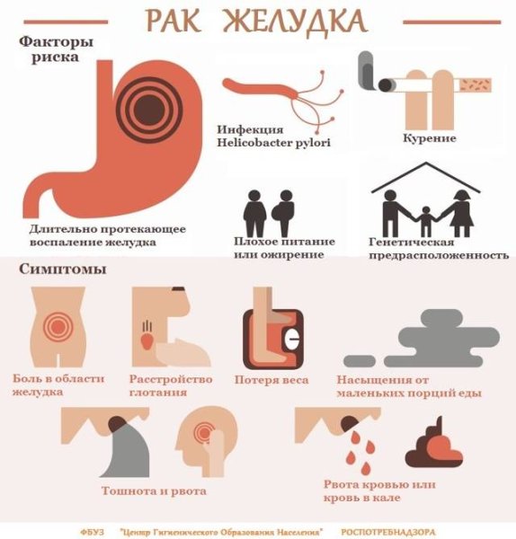 Первичная профилактика обострений хронического гастрита