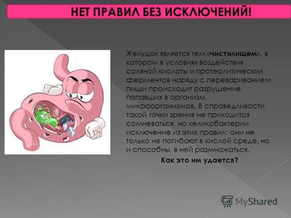 Заболевания желудочно-кишечного тракта