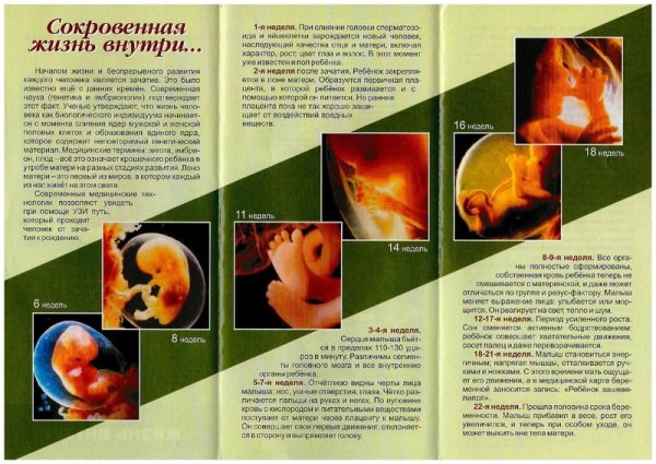 Профилактика абортов памятка