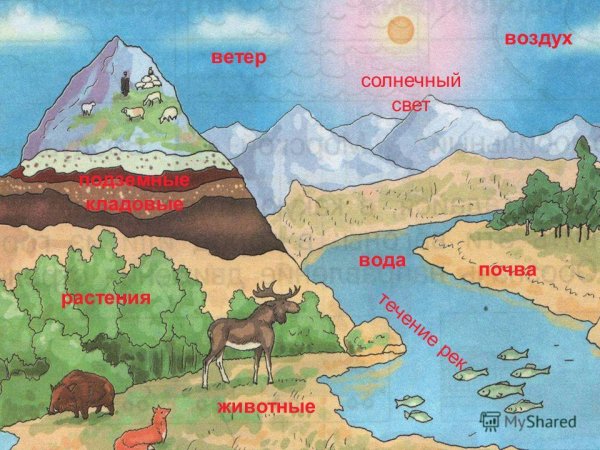 Название полезных ископаемых