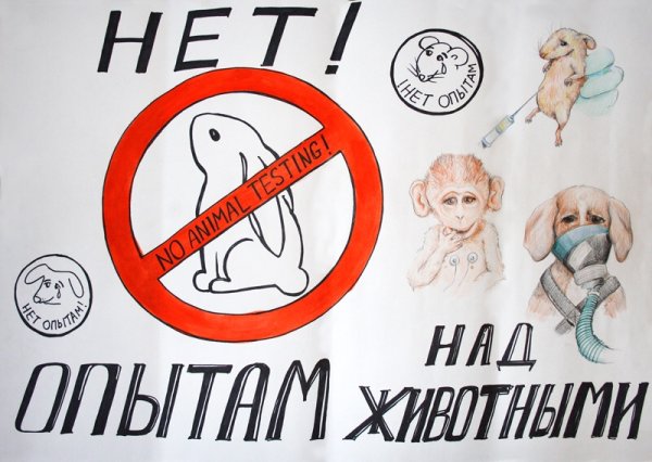 Рисунки заповедника детские