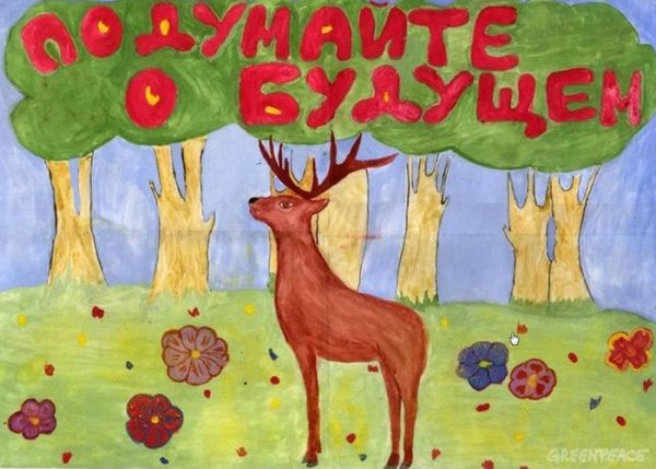 Рисунки бездомных животных