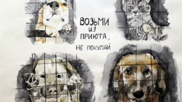 Плакат берегите животных