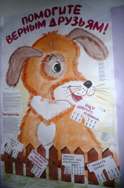 День защиты животных плакат