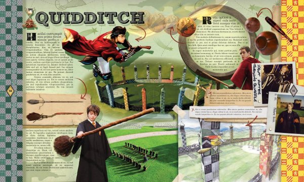 Плакат из Гарри Поттера квиддич