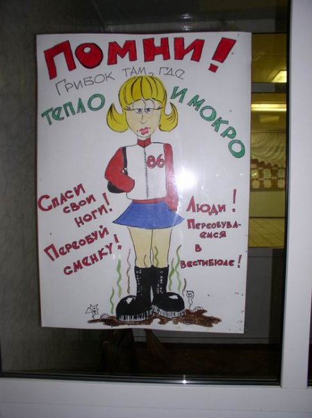 Плакаты со смешными подписями