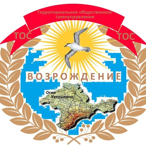 Возрождение территориальные общественные самоуправления